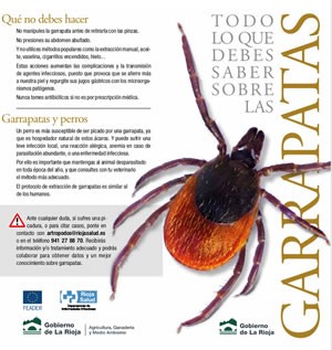 información sobre las garrapatas