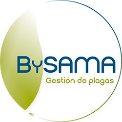 bysama control de plagas en Madrid